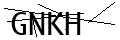驗證碼
